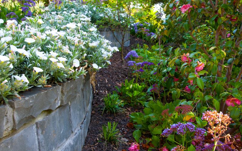 bluestone rock retaining walls