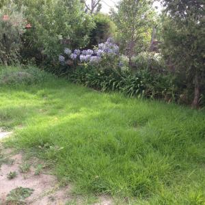 Backyard landscaping - Preston