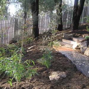 Childrens Garden - Eltham Library