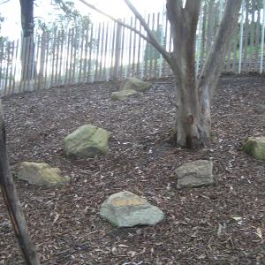 Childrens Garden - Eltham Library