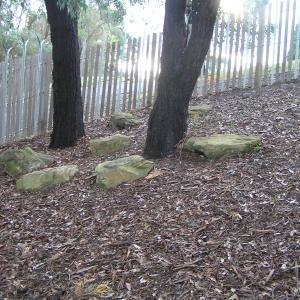 Childrens Garden - Eltham Library