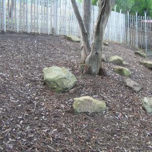 Childrens Garden - Eltham Library