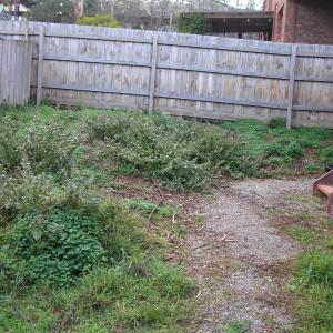 Garden landscaping - Eltham