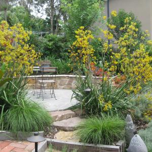 Garden design and landscaping Eltham - ONE YEAR LATER