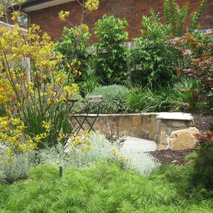 Garden design and landscaping Eltham - ONE YEAR LATER