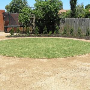 Backyard landscaping - Northcote