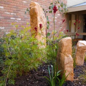 Native garden landscape design, Eltham