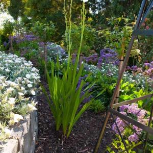 Retaining walls,Templestowe