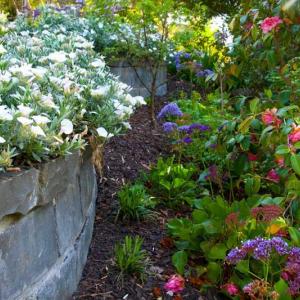 Retaining walls,Templestowe