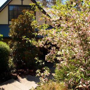 Large garden landscaping project - Warrandyte