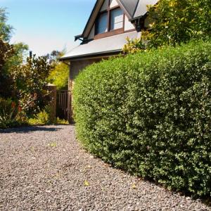 Large garden landscaping project - Warrandyte